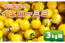 【ふるさと納税】【先行予約】今川農園のミニトマト イエローミミ 3kg 先行予約受付 期間限定 季節限定 野菜 国産 完熟 やさい フルーツ トマト 完熟 千果 ミニトマト イエロー プチトマト イエロートマト プチ お弁当 贈り物 おやつ サラダ 送料無料 産地直送
