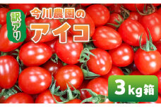 【ふるさと納税】【先行予約】今川農園のミニトマト 訳ありアイコ 3kg 先行予約受付 期間限定 季節限定 野菜 国産 完熟 やさい フルーツ トマト 完熟 千果 ミニトマト イエロー プチトマト イエロートマト プチ お弁当 贈り物 おやつ サラダ 送料無料 産地直送