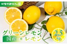 旬のレモン 2.5kg レモン グリーンレモン 檸檬 緑 グリーン レモン 柑橘 柑橘類 フルーツ 果物 旬 レモネード レモン ケーキ レモンティー に 愛知県 田原市 渥美半島