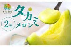 【2玉】先行予約 タカミメロン 2玉 水野農園