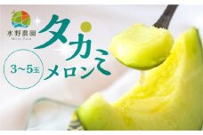 【3～5玉】先行予約 タカミメロン 5kg 3～5玉 水野農園