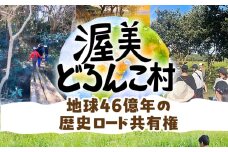 渥美半島「地球46億年の歴史ロード」共有権（券）