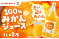 100% みかんジュース 1L × 2本 みかん みかんジュース 蜜柑 ミカン ミカンジュース みかん100％ 柑橘 柑橘類 フルーツ 果物 旬 愛知県 田原市 渥美半島
