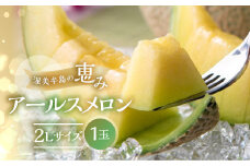【9月発送】メロン 2L × 1玉  日研農園 ／ メロン めろん 先行予約 フルーツ 果物 アールスメロン 青肉メロン 旬 夏 厳選 高級 人気 デザート  メロン ゼリー 贈答用 贈答品 贈答 メロン パン 産直 産地直送 ギフト プレゼント 贈り物 愛知県 特産品 産地直送 田原市 渥美半島 7月 8月 9月