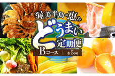 渥美半島の恵み どうまい 定期便 全5回 Bコース （ 野菜 セット 餃子 とうもろこし みかん 豚肉 ) 青うなぎ 名古屋コーチン マスクメロン ご当地 人気 頒布会