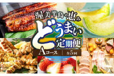 渥美半島の恵み どうまい 定期便 5回 Aコース （ いちご 焼き鳥 うなぎ メロン 豚肉 ハム ソーセージ ) 青うなぎ 名古屋コーチン マスクメロン ご当地 人気 頒布会