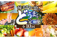 渥美半島の恵み どうまい 定期便 全10回（ 野菜 セット いちご 餃子 焼き鳥 うなぎ とうもろこし みかん メロン 豚肉 ハム ソーセージ ) 青うなぎ 名古屋コーチン マスクメロン ご当地 人気 頒布会