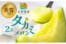 水野農園産タカミメロン　２玉