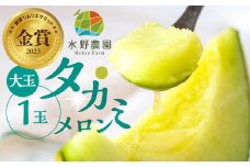 水野農園産タカミメロン　大玉１玉