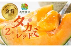 水野農園産タカミレッド　２玉