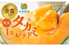 水野農園産タカミレッド　大玉１玉