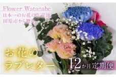 【定期便12回】お花屋さんのタハナＢＯＸ 定期便12回 定期便も選べる 定期便 3回 6回 12回 フラワーアレンジメント 花 お花 花束 ブーケ 季節 ギフト お祝い 誕生日 記念日 ギフト プレゼント インテリア お洒落 マム カラーマム 愛知県 田原市 10000円 1万円 キク、バラ、ガーベラ、アルストロメリア、カスミソウ、カーネーション