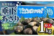 【先行予約】どでかい！垂下あさり 1kg サイズ 特大 あさり ブランドあさり 浅利 ダシ 出汁 味噌汁 国産 アサリ 愛知県 田原市 新鮮 砂抜き 海鮮 魚介類 魚介 貝 人気 パスタ などに