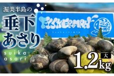 【先行予約】どでかい！垂下あさり 1.2kg サイズ 大 あさり ブランドあさり 浅利 ダシ 出汁 味噌汁 国産 アサリ 愛知県 田原市 新鮮 砂抜き 海鮮 魚介類 魚介 貝 人気 パスタ などに