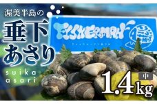 【先行予約】どでかい！垂下あさり 1.4kg 中 サイズ あさり ブランドあさり 浅利 ダシ 出汁 味噌汁 国産 アサリ 愛知県 田原市 新鮮 砂抜き 海鮮 魚介類 魚介 貝 人気 パスタ などに