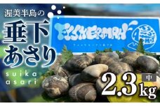 【先行予約】どでかい！垂下あさり 2.3kg 中 サイズ あさり ブランドあさり 浅利 ダシ 出汁 味噌汁 国産 アサリ 愛知県 田原市 新鮮 砂抜き 海鮮 魚介類 魚介 貝 人気 パスタ などに