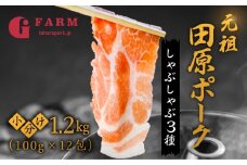 【12回 定期便】国産 豚肉 食べ比べ 400g × 3 計 1.2kg しゃぶしゃぶ用 ロース 肩ロース バラ 冷凍 田原ポーク 小分け 100g ずつ 個包装 定期便  12か月 肉