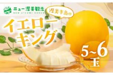 【先行予約】イエローキングメロン 5 ～ 6玉 入り（ 計 4kg 以上 ）メロン イエロー キング メロン フルーツ 果物 愛知県 田原市 渥美半島 お取り寄せ スイーツ ギフト 贈り物 プレゼント 贈答 贈答用 ニュー渥美 観光