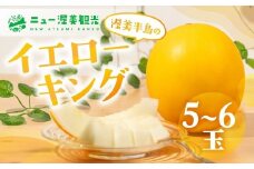 【先行予約】イエローキングメロン 5 ～ 6玉 入り（ 計 4kg 以上 ）メロン イエロー キング メロン フルーツ 果物 愛知県 田原市 渥美半島 お取り寄せ スイーツ ギフト 贈り物 プレゼント 贈答 贈答用 ニュー渥美 観光