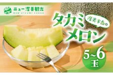 【先行予約】タカミメロン 5 ～ 6玉 入り（ 計 4kg 以上 ）メロン タカミメロン フルーツ 果物 愛知県 田原市 渥美半島 お取り寄せ スイーツ ギフト 贈り物 プレゼント 贈答 贈答用 ニュー渥美 観光