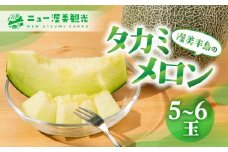 【先行予約】タカミメロン 5 ～ 6玉 入り（ 計 4kg 以上 ）メロン タカミメロン フルーツ 果物 愛知県 田原市 渥美半島 お取り寄せ スイーツ ギフト 贈り物 プレゼント 贈答 贈答用 ニュー渥美 観光