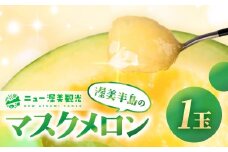 【先行予約】マスクメロン 1玉 メロン めろん マスクメロン フルーツ 果物 愛知県 田原市 渥美半島 お取り寄せ スイーツ ギフト 贈り物 プレゼント 贈答 贈答用 ニュー渥美 観光 1玉 2玉 3玉 訳あり わけあり ワケアリ 訳アリ