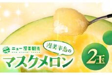 【先行予約】マスクメロン 2玉 メロン めろん マスクメロン フルーツ 果物 愛知県 田原市 渥美半島 お取り寄せ スイーツ ギフト 贈り物 プレゼント 贈答 贈答用 ニュー渥美 観光 1玉 2玉 3玉 訳あり わけあり ワケアリ 訳アリ