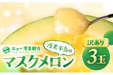 【先行予約】訳あり マスクメロン 3玉 メロン めろん マスクメロン フルーツ 果物 愛知県 田原市 渥美半島 お取り寄せ スイーツ ギフト 贈り物 プレゼント 贈答 贈答用 ニュー渥美 観光 1玉 2玉 3玉 訳あり わけあり ワケアリ 訳アリ