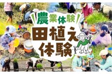 【農業体験】田植え体験 米作り 手作業 無農薬 体験 お米 米 親子 イベント 自然 自然体験