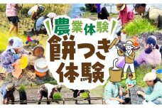 餅つき体験 餅つき もち 餅 米作り 手作業 無農薬 体験 お米 米 親子 イベント 自然 自然体験