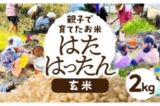 【玄米2kg】お米 選べる 2kg 5kg 白米 玄米 お米 米 コメ こめ ご飯