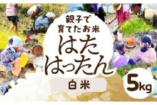 【白米5kg】お米 選べる 2kg 5kg 白米 玄米 お米 米 コメ こめ ご飯