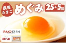 農場たまご めぐみ 30個　割れ保証付き 卵 たまご 鶏卵 30 赤玉 新鮮 イラコファーム 愛知県 田原市