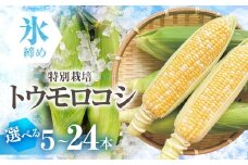 【先行予約】渥美半島産　寺田さんちのとうもろこし　バイカラー 10本～12本 約4kg とうもろこし デザート 農家直送 送料無料 朝採れ コーン 野菜 キャンプ BBQ バーベキュー おやつ 田原市 渥美半島 愛知県 夏 旬