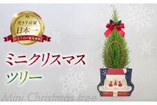 ミニクリスマスツリー 観葉植物 植物 3号鉢 ツリー 人気 おしゃれ かわいい お手入れ 室内 大鉢 中型 インテリア リビング 玄関 寝室 キッチン オフィス プレゼント ギフト 冬 クリスマス フラワーギフト