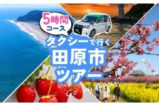 中型タクシーで田原市観光プラン 5時間 コース 観光 旅行 タクシー いちご狩り 岬 灯台 菜の花 菜の花祭り 田原市 渥美半島 愛知県