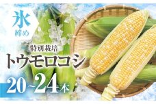 【先行予約】渥美半島産　寺田さんちのとうもろこし　バイカラー 20本～24本 約8kg とうもろこし デザート 農家直送 送料無料 朝採れ コーン 野菜 キャンプ BBQ バーベキュー おやつ 田原市 渥美半島 愛知県 夏 旬