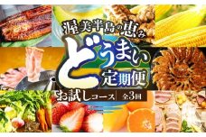 渥美半島の恵み どうまい 定期便 全3回 お試しコース （ うなぎ 豚肉 サーモン) 青うなぎ みかわポーク 渥美プレミアムラスサーモン ご当地 人気 頒布会