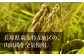 義侠 純米酒 セット 清酒 日本酒 飲み比べ  酒 お酒
