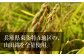 義侠 純米吟醸原酒 セット 清酒 日本酒 飲み比べ 酒 お酒
