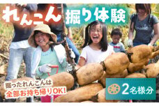 れんこん レンコン掘り体験 チケット （ ペアチケット ） 蓮根 食育 体験 産地直送 愛西市 / 清水食品  [AEAJ004]