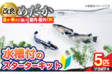 メダカスターターキット アクアリュウムタワー クリアー  スターターキット 水槽 セット 愛西市 / 株式会社プロスパージャパン [AEAK004]