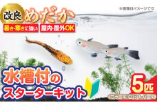 メダカスターターキット アクアリュウムタワー ブラック  スターターキット 水槽 セット 愛西市 / 株式会社プロスパージャパン [AEAK005]