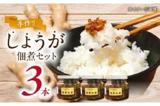 手づくり生姜の佃煮 大瓶3本セット  自家製 愛知県産 しょうが 愛西市 / しょうがやさん [AEAO003]