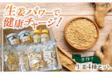 しょうがやさんの手作りセット  自家製 愛知県産 しょうが 愛西市 / しょうがやさん [AEAO005]