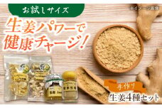 しょうがやさんの手作りセット（小） 自家製 愛知県産 しょうが  愛西市 / しょうがやさん [AEAO006]