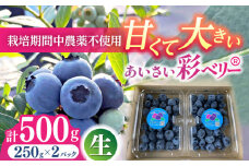 ＼毎年6月より順次発送／あいさい彩ベリー（ブルーベリー生果実）250g×2パック 産地直送 青果 ブルーベリー 愛西市 / あいさいベリーLABO [AEBZ002] フルーツ ブルーベリー 果物