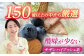 あいさい彩ベリー ブルーベリー 生果実 250g × 2パック 産地直送 青果 愛西 フルーツ