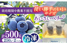 ＼2025年8月より順次発送／あいさいベリー（ブルーベリー冷凍果実）250g×2パック 産地直送 ブルーベリー 腸活 美肌 冷凍ブルーベリー 愛西市 / あいさいベリーLABO [AEBZ005]