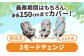 ビットターンR129 モカーキ チャイルドシート ベビーシート ISOFIX 愛西 リーマン 赤ちゃん 新生児